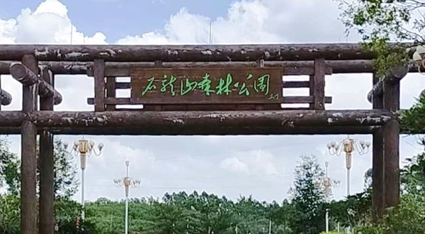 石龙山国家森林公园