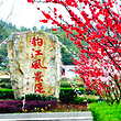 酌江风景区