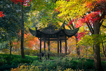 西湖风景名胜区第 258 张图片