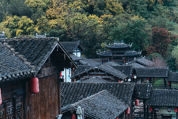 宝华山国家森林公园第 9 张图片