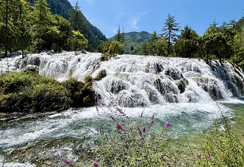 九寨沟风景区第 473 张图片