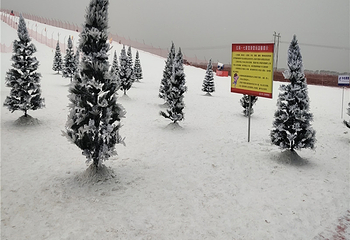 红海·七星雪滑雪场第 7 张图片