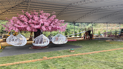 龟岭谷乡村旅游风景区第 14 张图片