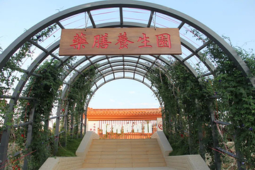 彭祖养生长寿基地第 31 张图片