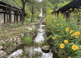 上坝河国家森林公园