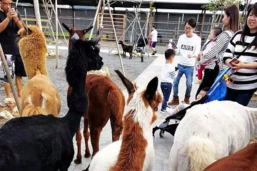 垦草趣亲子园区第 6 张图片