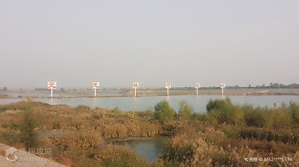 元氏槐河湿地第 2 张图片