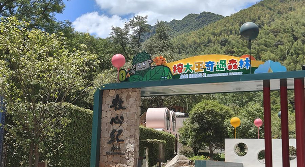 桉大王奇遇森林乐园