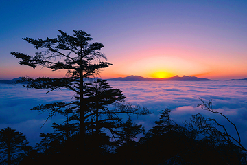 二郎山喇叭河风景区第 118 张图片
