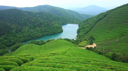 东钱湖福泉山景区第 1 张图片