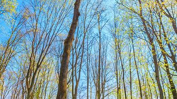 佳木斯市水源山公园