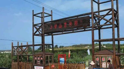 小望海农乐园第 1 张图片