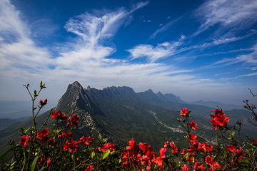 灵山风景区第 37 张图片
