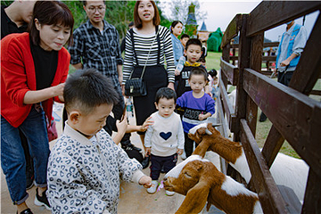 广旅·欢乐世界第 81 张图片