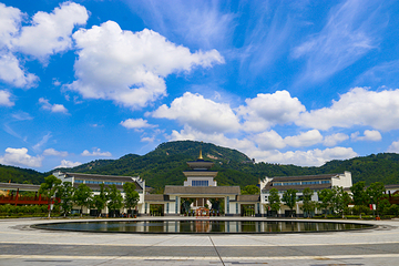 东山问梅村第 5 张图片
