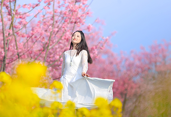 问花村第 1 张图片