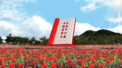 三亚亚龙湾国际玫瑰谷第 53 张图片