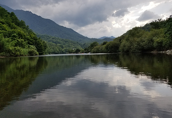 阳坝自然风景区第 13 张图片