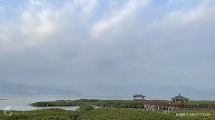 红树林景区第 2 张图片