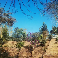 故山·野鸭塘河谷咖啡庄园