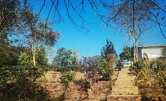 野鸭塘河谷庄园