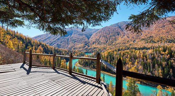 喀纳斯河观景台