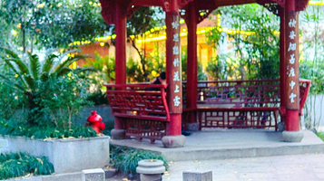 杭州西湖风景名胜区-满觉陇四眼井