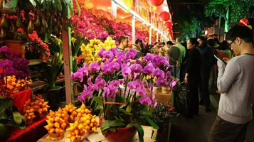 2025荔湾区迎春花市