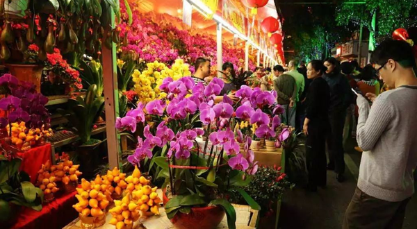 2025荔湾区迎春花市