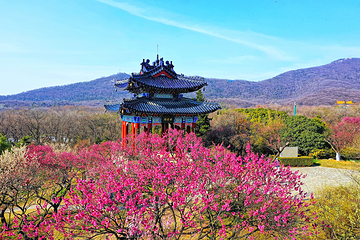 钟山风景名胜区第 34 张图片