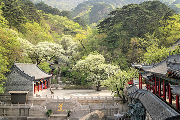 千山第 4 张图片
