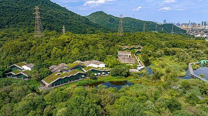 西湖风景区-江洋畈生态公园第 1 张图片