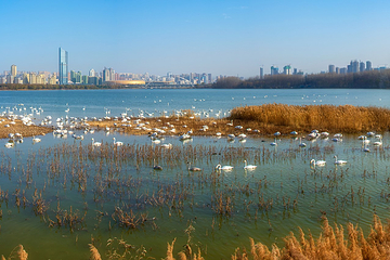 天鹅湖国家城市湿地公园第 1 张图片