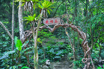 海南百花岭热带雨林文化旅游区第 62 张图片