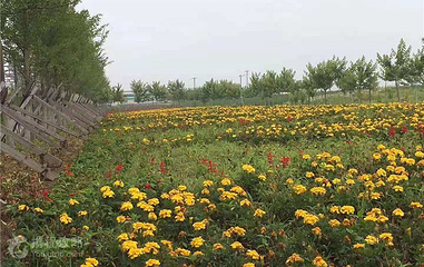 辽宁凤城草河国家湿地公园第 6 张图片