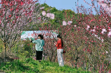 聚艺视界研学院湘潭梅林桥基地第 9 张图片