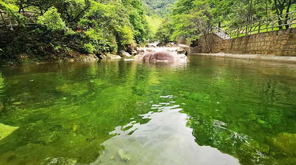 九龙瀑第 1 张图片