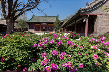 晋祠博物馆第 50 张图片
