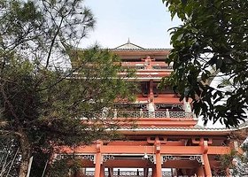 大渡口森林公园