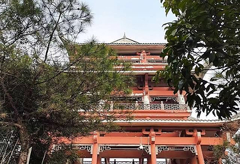 大渡口森林公园第 1 张图片