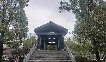 丁玲公园第 3 张图片