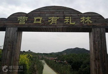 营口芙蓉仙侠城第 2 张图片
