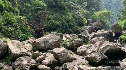 黄龙瀑第 2 张图片