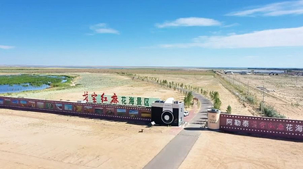 阿勒泰戈宝红麻花海景区第 1 张图片