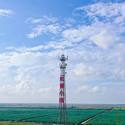 黄河口知青小镇