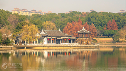 天井湖公园第 3 张图片