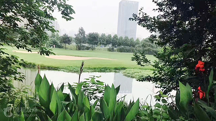 东方高尔夫球场第 2 张图片