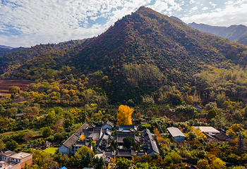 古观音禅寺第 7 张图片