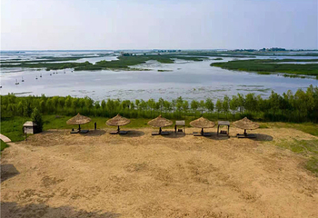 滨江湿地旅游风景区第 18 张图片