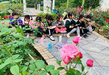 花田厝鲜花艺术小镇第 33 张图片
